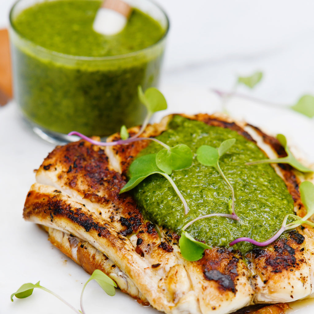 Snapper with Cilantro Chimichurri