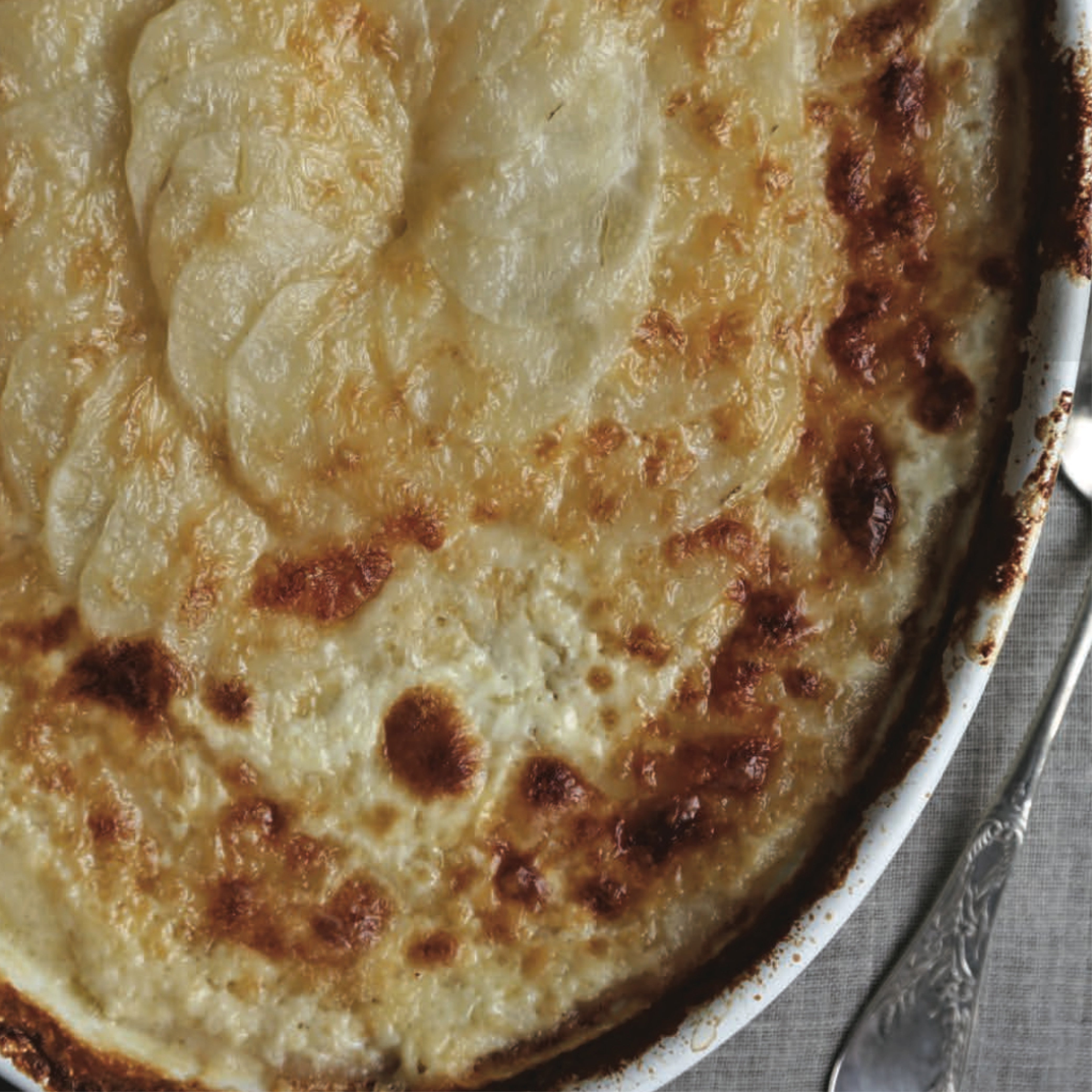 Potato Gratin