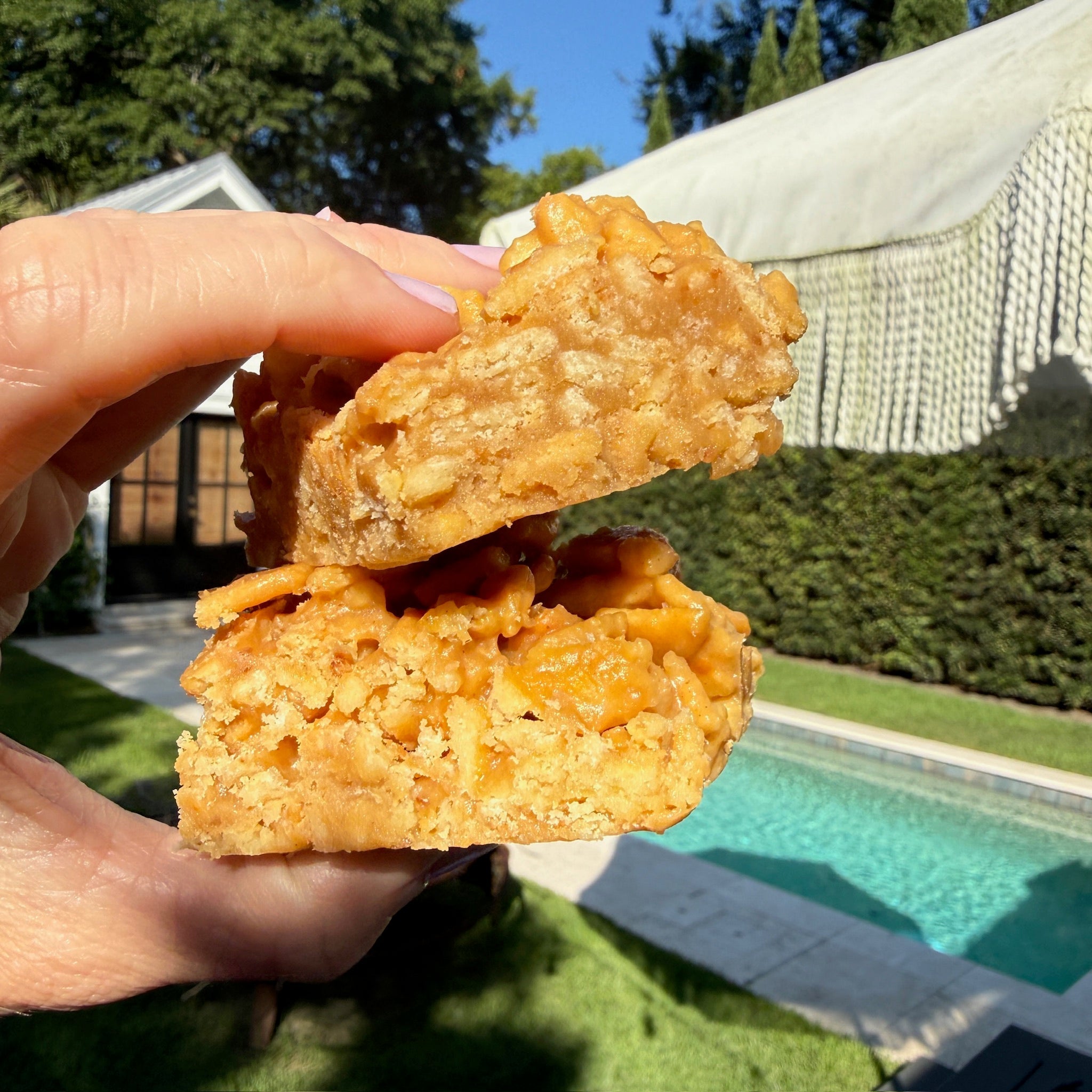 Biscuit Cracker Cheese Treats