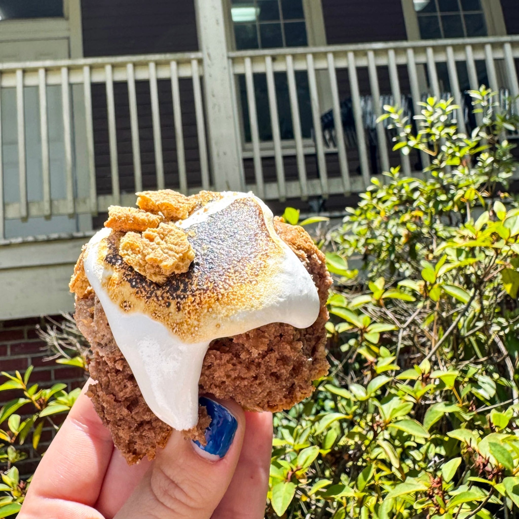 S'mores Biscuits 