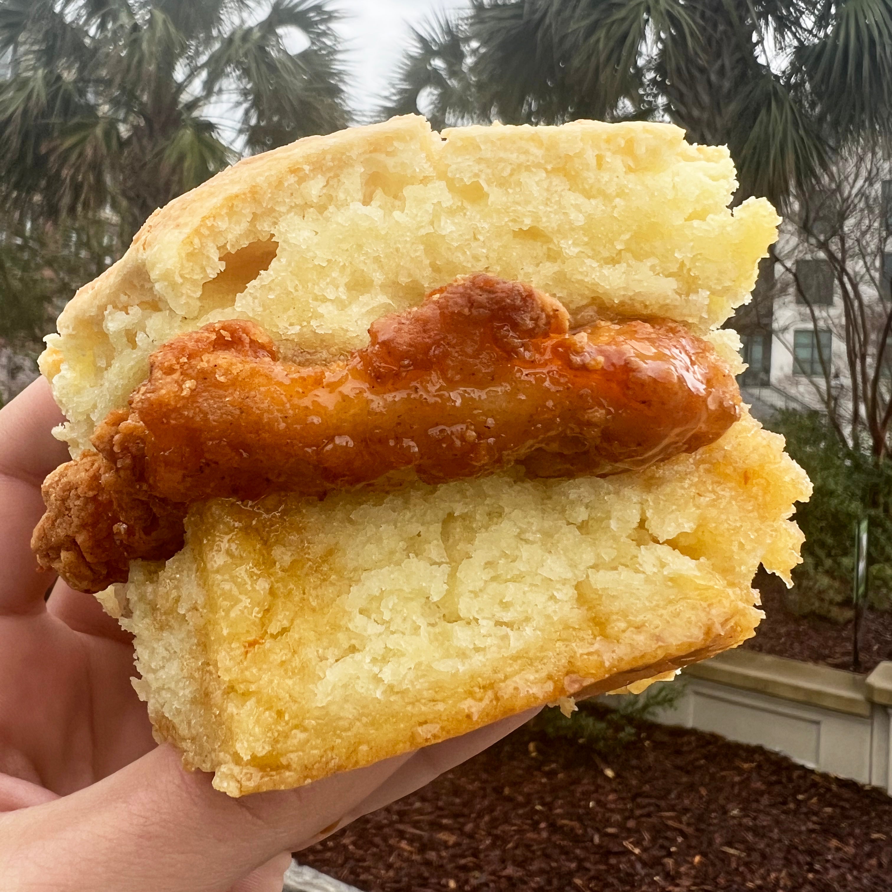 Hot Honey Chicken Biscuit